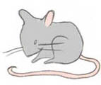Mouse illustration for 'Travels with Granddad'